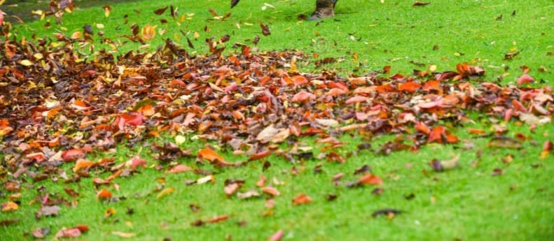 Precision Leaf Removal and yard debris clearing service by Green 4 Life in Delaware